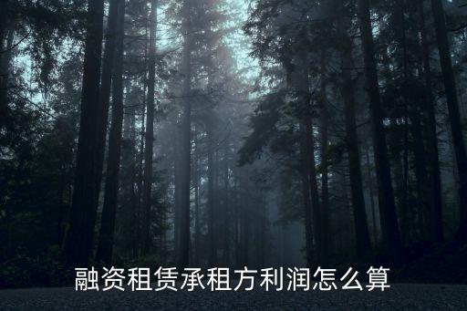 融資租賃承租方利潤(rùn)怎么算