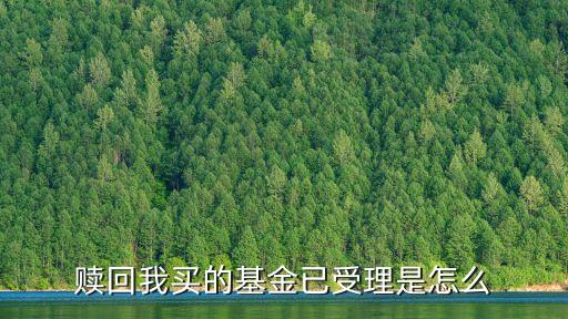 贖回我買(mǎi)的基金已受理是怎么