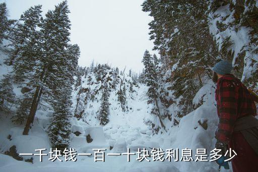 110的利息怎么算，一千塊錢一百一十塊錢利息是多少