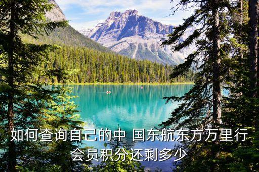 如何查詢自己的中 國東航東方萬里行會員積分還剩多少