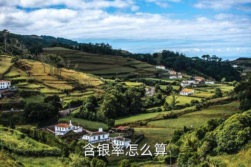 白銀是怎么算百分比的，現(xiàn)貨白銀 止盈止損點(diǎn)數(shù)怎么換算成百分比