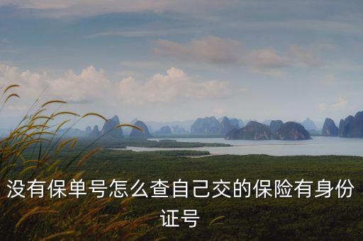 沒有保單號(hào)怎么查詢，沒有保單號(hào)怎么查自己交的保險(xiǎn)有身份證號(hào)