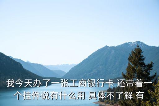 辦工行儲(chǔ)蓄卡都給什么 怎么用，辦工商銀行卡時(shí)候給的是啥咋用求答