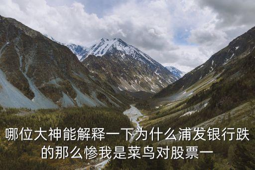 哪位大神能解釋一下為什么浦發(fā)銀行跌的那么慘我是菜鳥對股票一