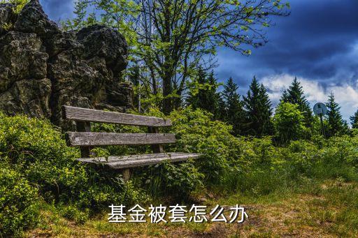 基金被套怎么辦
