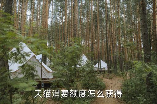 天貓消費(fèi)額度怎么獲得