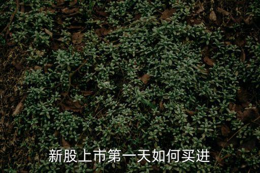 新股開(kāi)市怎么可以買(mǎi)進(jìn)，新股上市第一天如何買(mǎi)進(jìn)