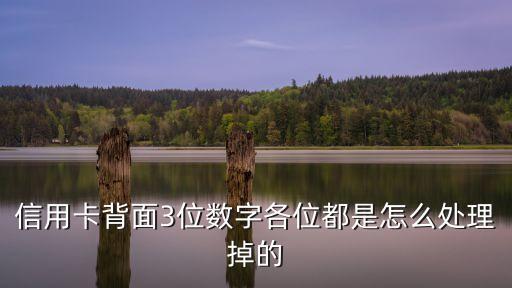 信用卡背面3位數(shù)字各位都是怎么處理掉的