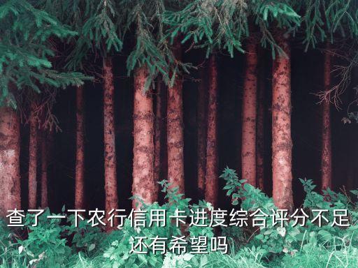農(nóng)商信用卡評估未達到怎么辦，查了一下農(nóng)行信用卡進度綜合評分不足還有希望嗎