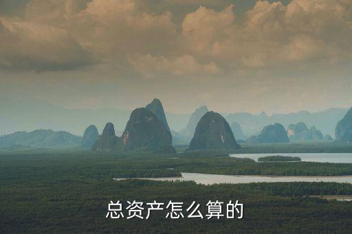 總資產(chǎn)怎么算的