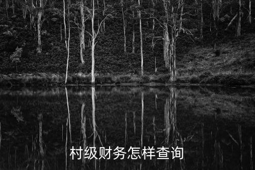 怎么查村里的帳，查農(nóng)村帳目這么查請(qǐng)教一下