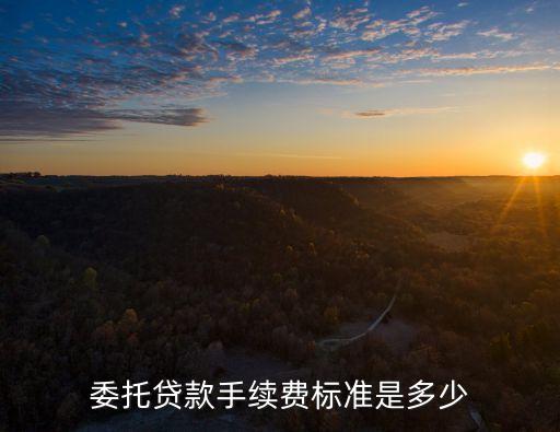 委托貸款手續(xù)費(fèi)標(biāo)準(zhǔn)是多少