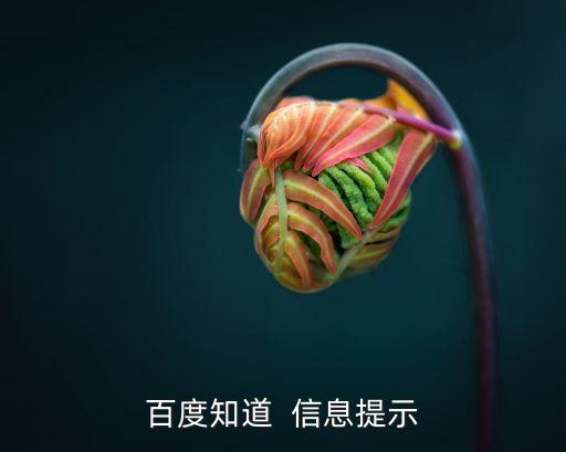 懶財券怎么用，懶財網的操作流程方便嗎