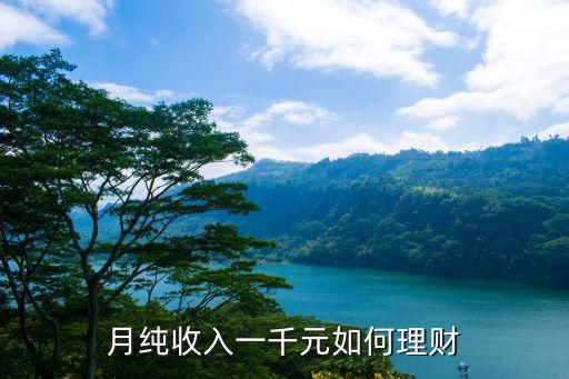 月純收入一千元如何理財(cái)