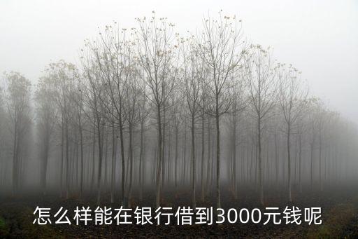 怎么去銀行借3000元，怎么樣能在銀行借到3000元錢呢