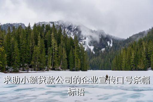 放貸公司怎么宣傳，天津個(gè)人貸款公司怎么打廣告效果好