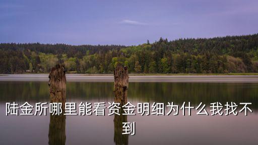 陸金所哪里能看資金明細(xì)為什么我找不到