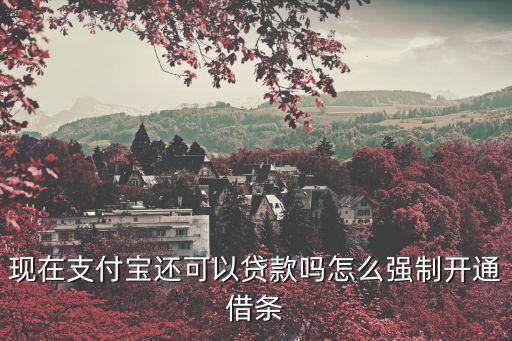 現(xiàn)在支付寶還可以貸款嗎怎么強(qiáng)制開通借條