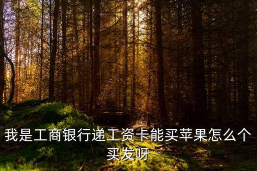 我是工商銀行遞工資卡能買蘋果怎么個(gè)買發(fā)呀