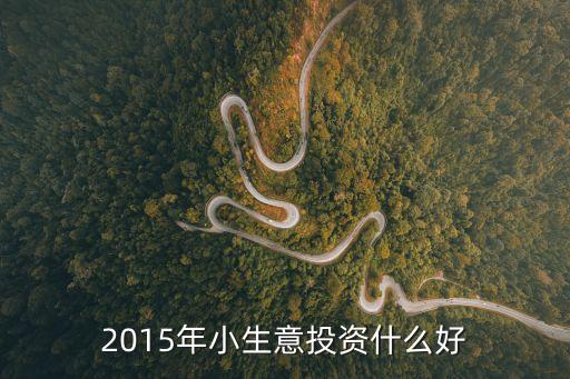 2015年小生意投資什么好