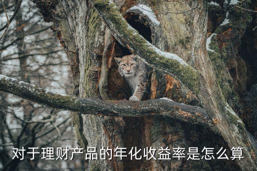 銀行理財年收益怎么算的，銀行理財?shù)哪晔找媛试趺此?/></a></span><span id=