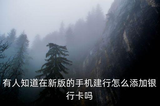 有人知道在新版的手機建行怎么添加銀行卡嗎