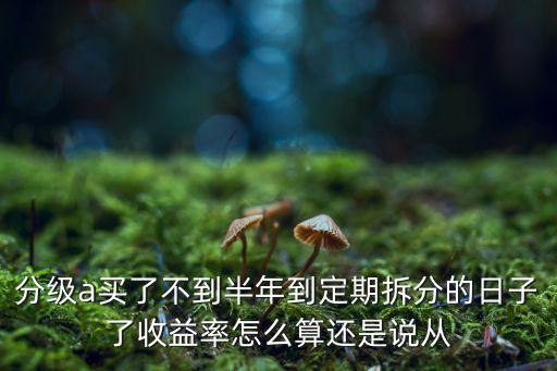 分級a買了不到半年到定期拆分的日子了收益率怎么算還是說從