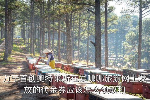 萬寧首創(chuàng)奧特萊斯在愛哪哪旅游網(wǎng)上發(fā)放的代金券應(yīng)該怎么領(lǐng)取和