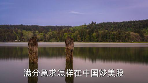 滿分急求怎樣在中國炒美股