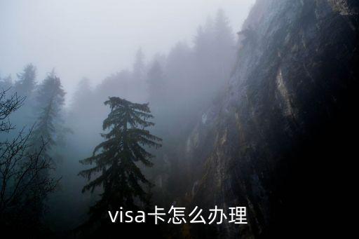 visa卡怎么辦理