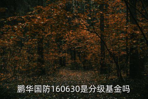 鵬華國(guó)防160630是分級(jí)基金嗎