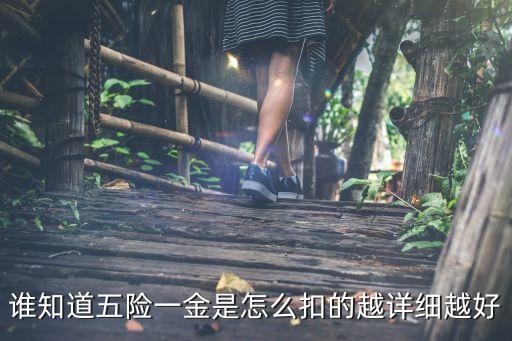 五險一金怎么扣的，親有木有人知道五險一金是怎么扣除的是月月扣還是這個月扣
