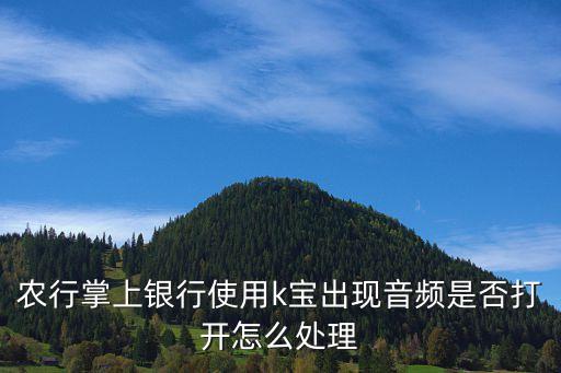 k寶的音頻打不開怎么辦，農(nóng)行掌上銀行使用k寶出現(xiàn)音頻是否打開怎么處理