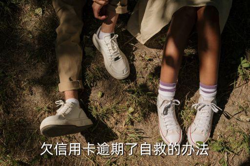 欠信用卡逾期了自救的辦法