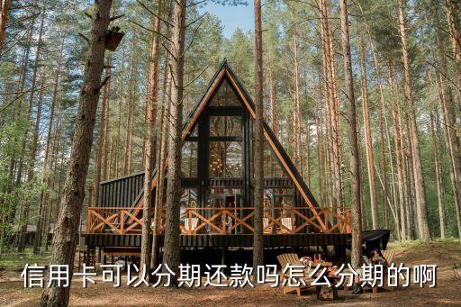 信用卡怎么分12期還，信用卡透支分十二期還是什么意思