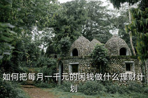 如何把每月一千元的閑錢做什么理財計劃