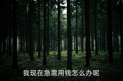 我現(xiàn)在急需用錢怎么辦呢