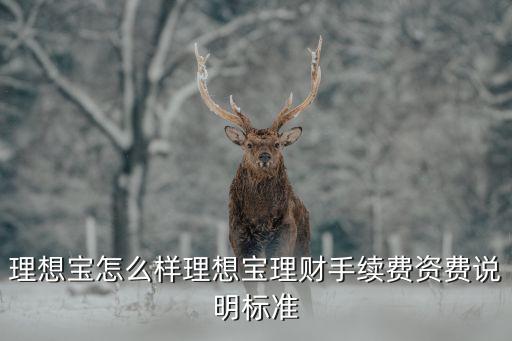 理想寶怎么樣理想寶理財(cái)手續(xù)費(fèi)資費(fèi)說(shuō)明標(biāo)準(zhǔn)