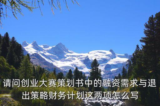 請(qǐng)問創(chuàng)業(yè)大賽策劃書中的融資需求與退出策略財(cái)務(wù)計(jì)劃這兩項(xiàng)怎么寫