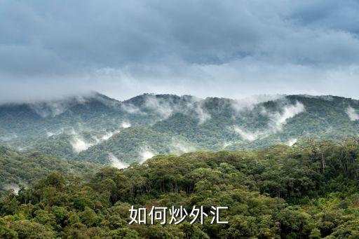 如何炒外匯