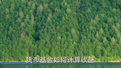貨幣基金如何計(jì)算收益