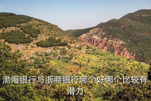 武漢渤海銀行怎么樣，渤海銀行和招商銀行哪個好
