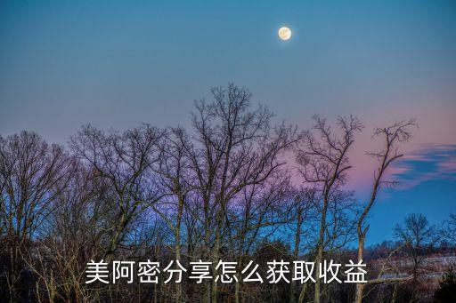 美阿密分享怎么獲取收益