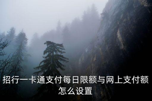 招行一卡通支付每日限額與網(wǎng)上支付額怎么設(shè)置