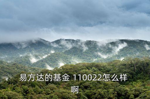 易方達的基金 110022怎么樣 啊