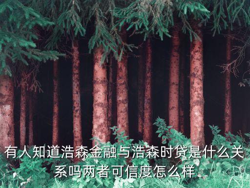 有人知道浩森金融與浩森時(shí)貸是什么關(guān)系嗎兩者可信度怎么樣