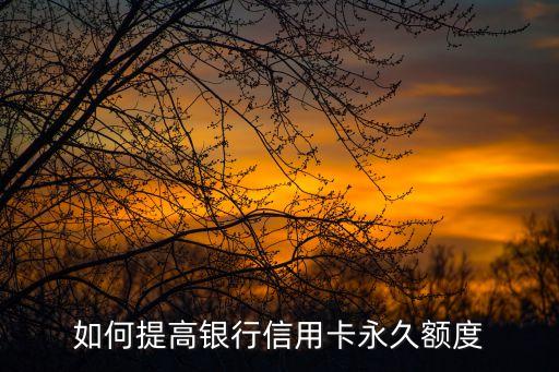 如何提高銀行信用卡永久額度