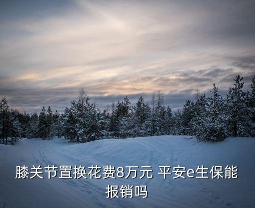膝關(guān)節(jié)置換花費(fèi)8萬元 平安e生保能報銷嗎