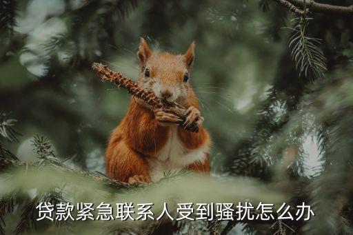 貸款緊急聯(lián)系人受到騷擾怎么辦