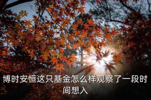 博時(shí)安和怎么樣，博時(shí)安恒這只基金怎么樣觀察了一段時(shí)間想入